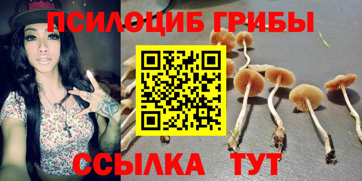 Галлюциногенные грибы Psilocybine cubensis  Вход с VPN  Холмск  Галлюциногенные грибы прущие грибы 