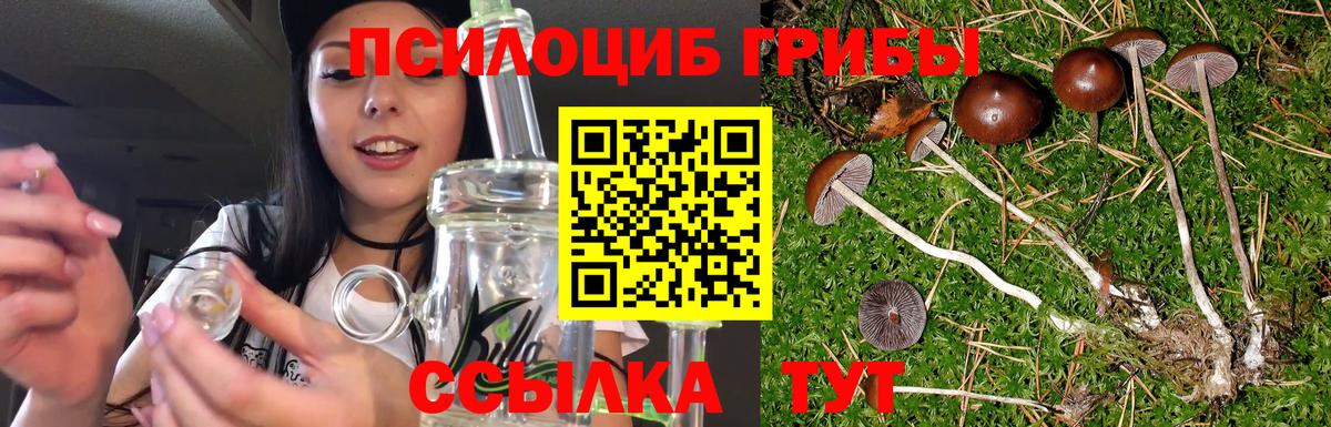 Псилоцибиновые грибы мицелий Холмск